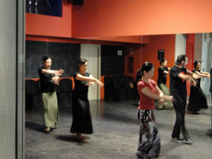 Flamenco dancing tours in Andalucia